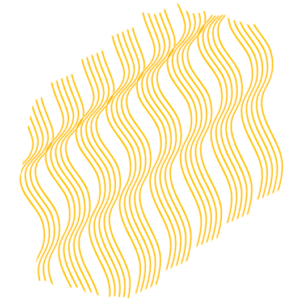 Spaghetti Semolina